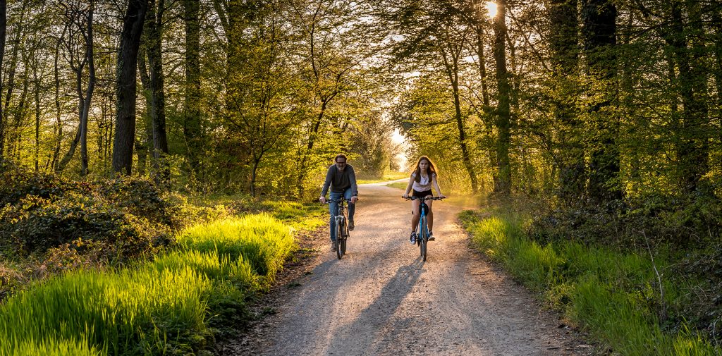 Bike rentals and trails at Wakulla Springs State Park