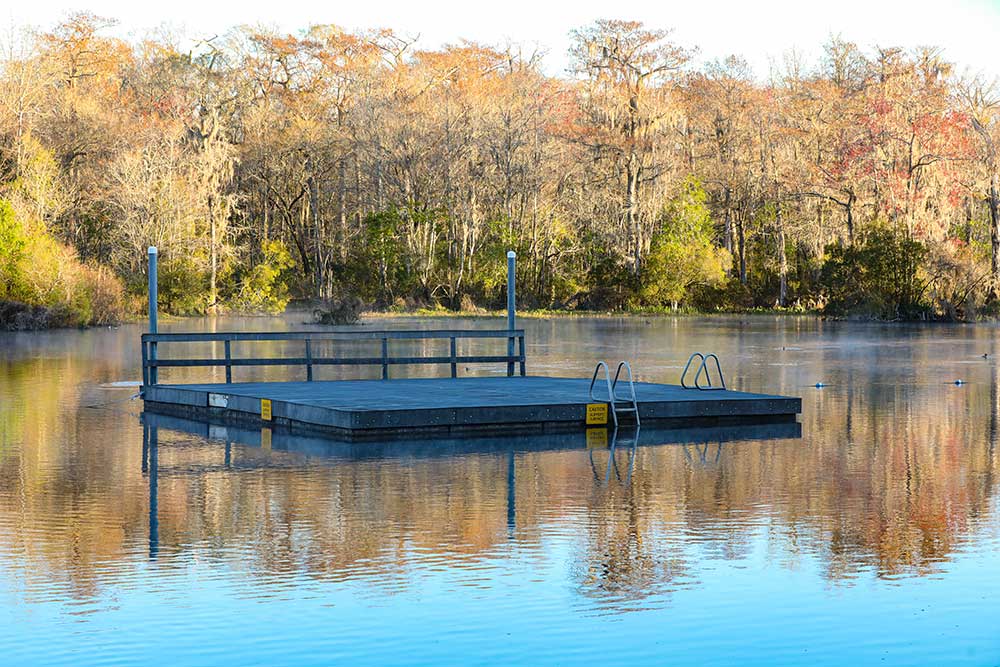 swimming springs