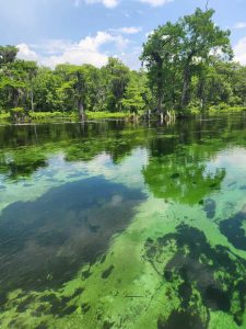 Wakulla Springs Earth Day 