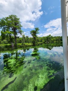 Wakulla Springs Boating