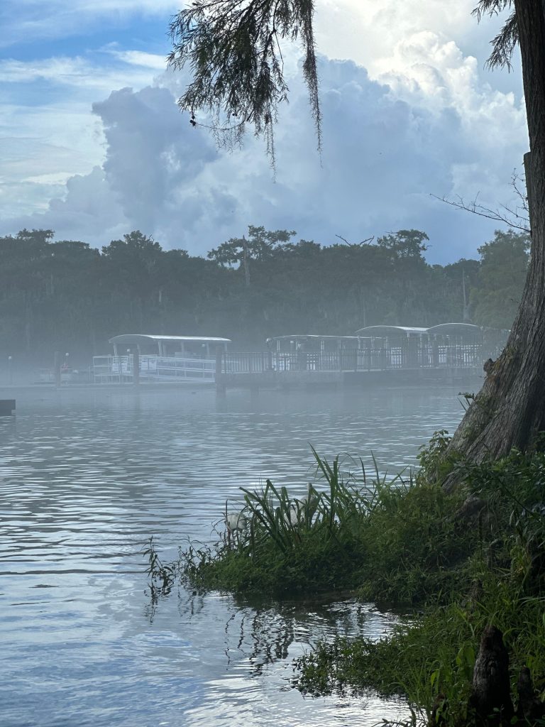 Wakulla Springs morning fog and wildlife