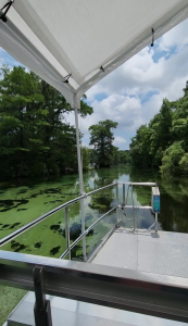 Wakulla Springs Boat tours and forest trails