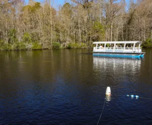 things to do near Tallahassee FL