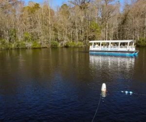 things to do near Tallahassee summer