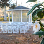 Wakulla Springs Dogwood Exterior