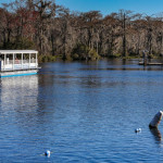 Wakulla Springs Boat Tours