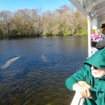 Wakulla Springs Boat Tours